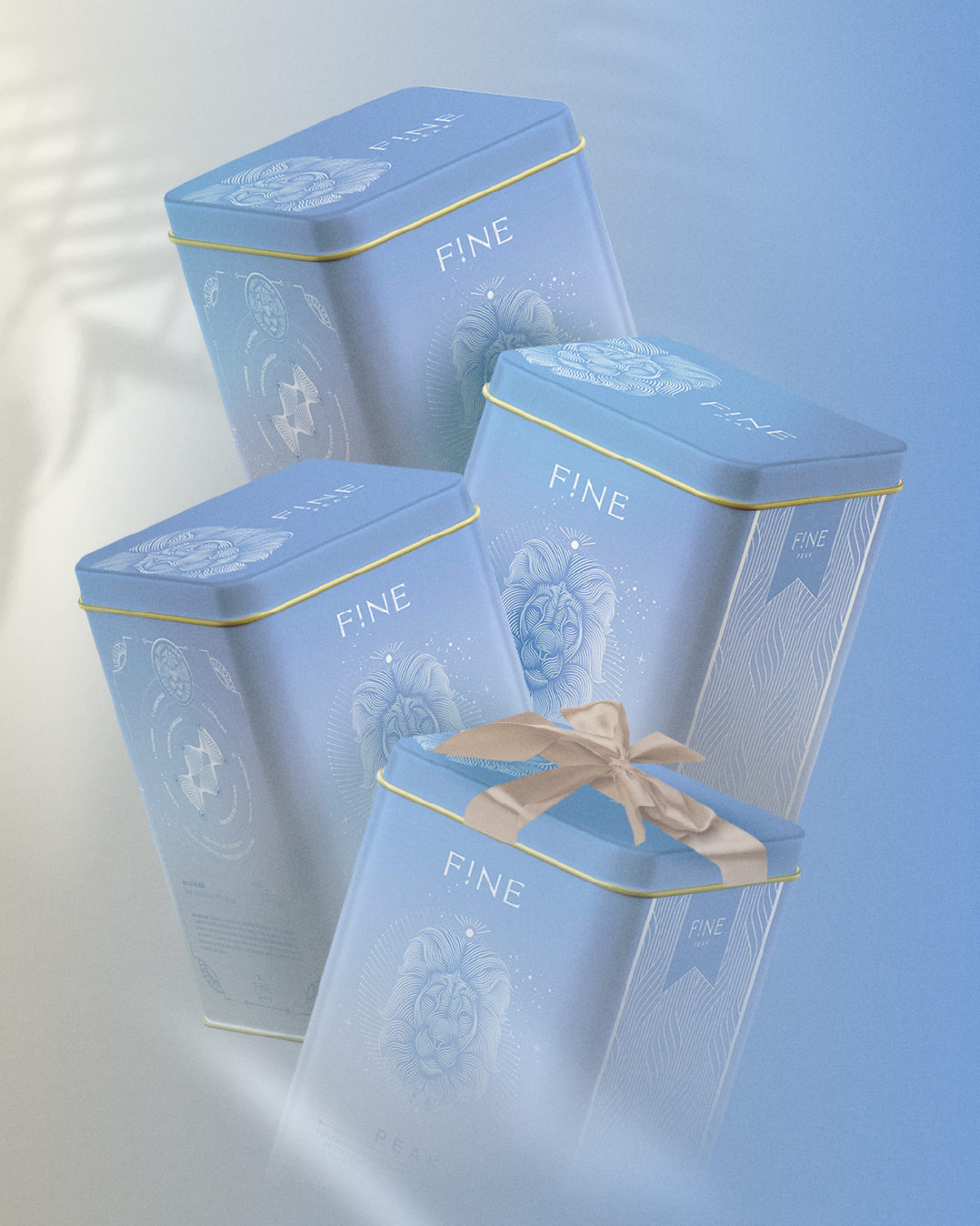 Pack 3x FINE FIT Imagen 2